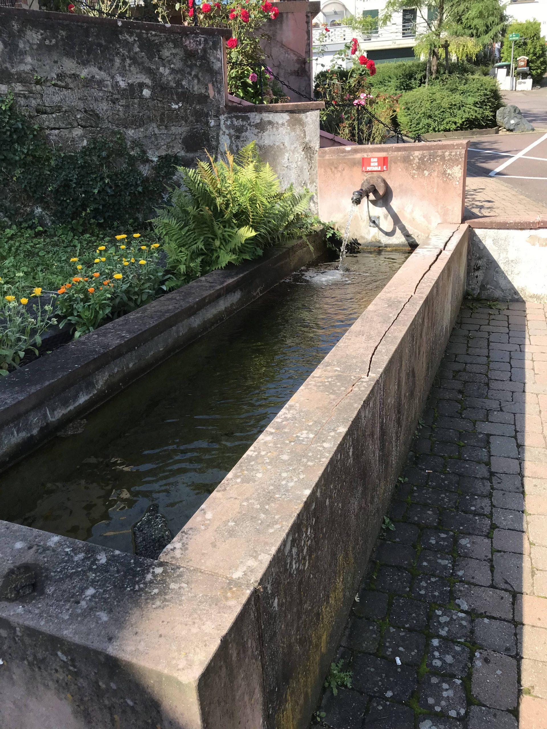 fontaine_oeting_1