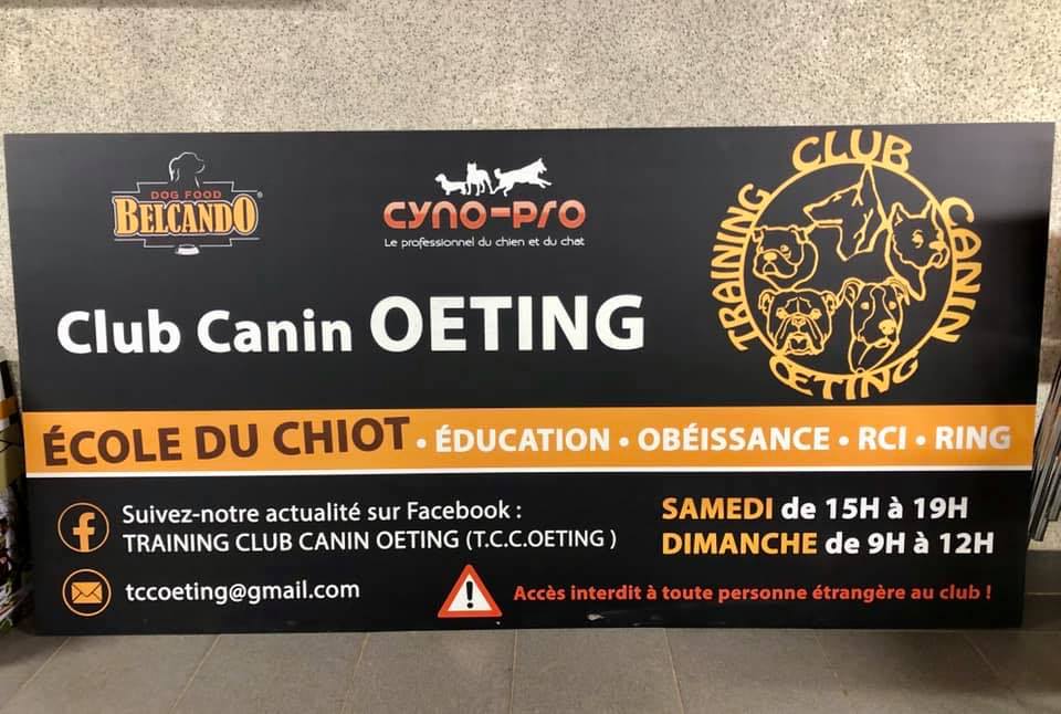 Club_canin_entete Club_canin_entete