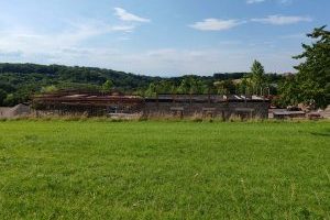 IMG_20240715_165734
